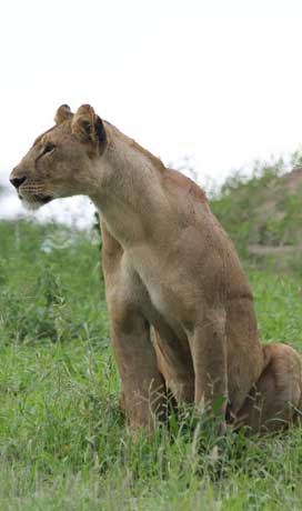 Discover Tanzania EASTCO Safaris