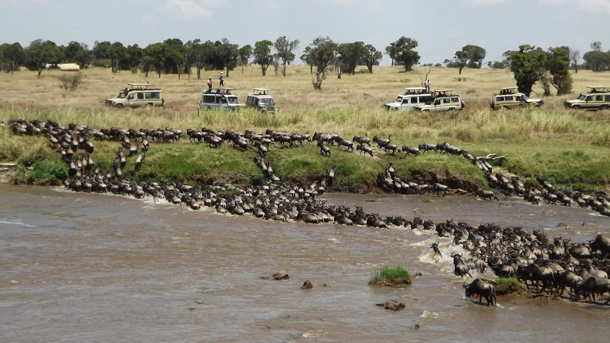 Kenya and Tanzania safari