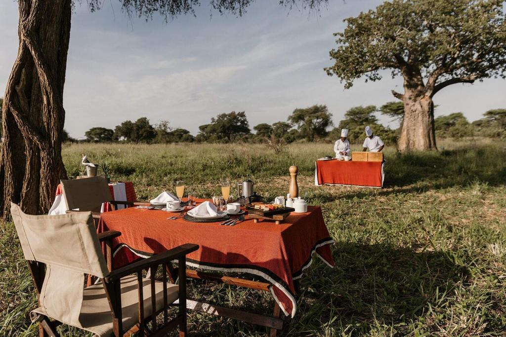 Luxury African Safari Vacation Packages East African Safari