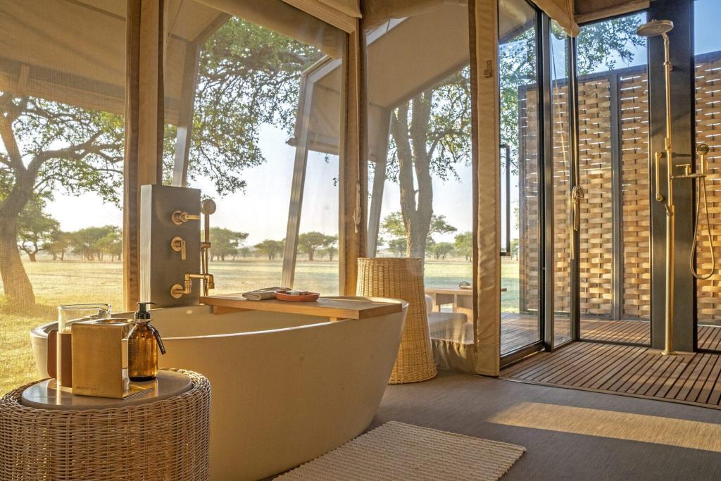 Luxury African Safari