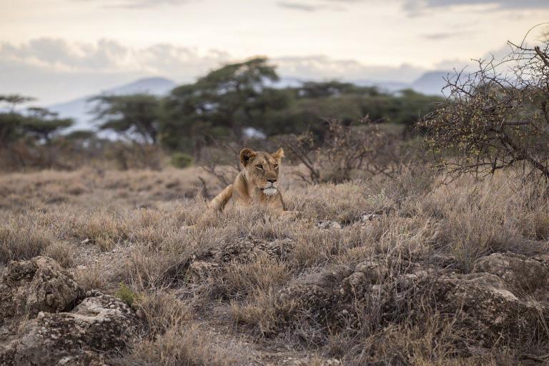 Serengeti National Park EASTCO Safaris