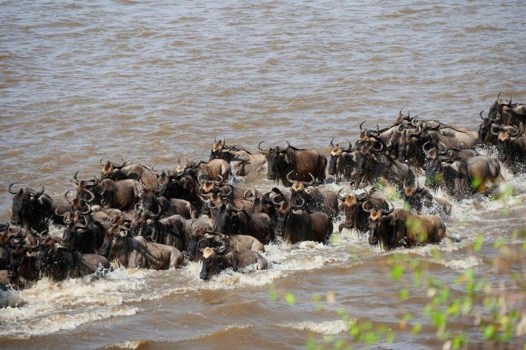 Serengeti National Park EASTCO Safaris