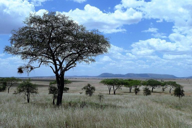 Serengeti National Park EASTCO Safaris