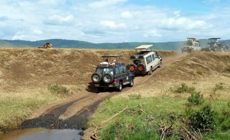 Ngorongoro Conservation Area EASTCO Safaris