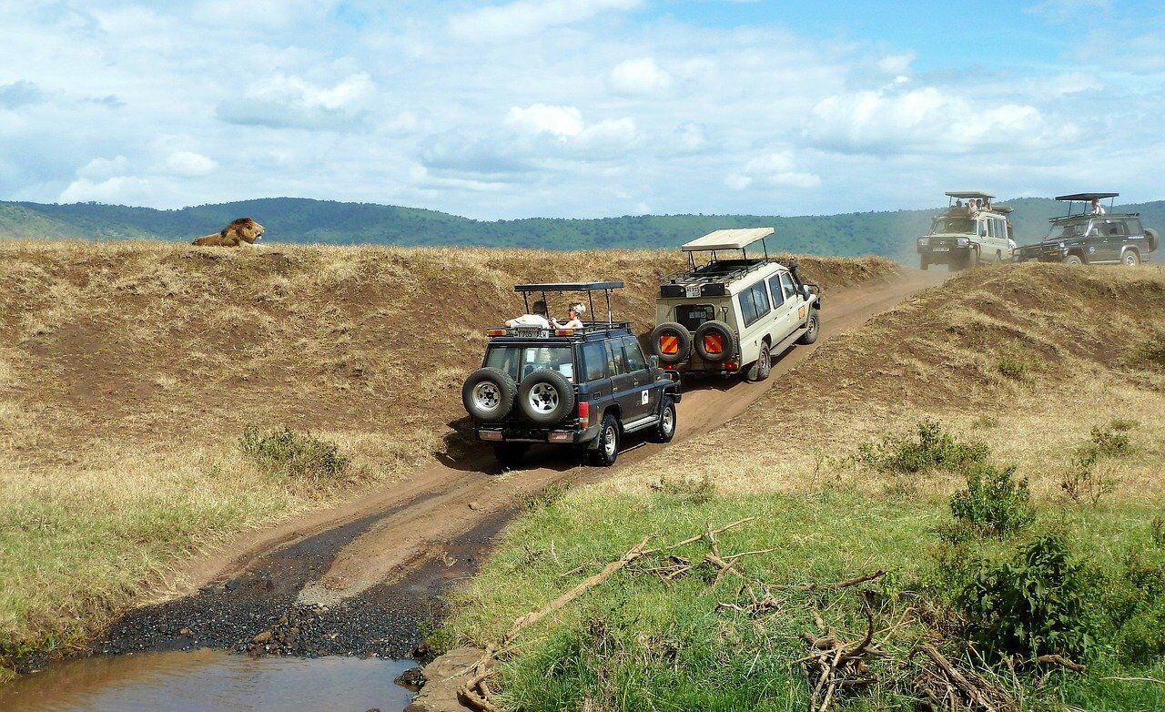 Ngorongoro safari