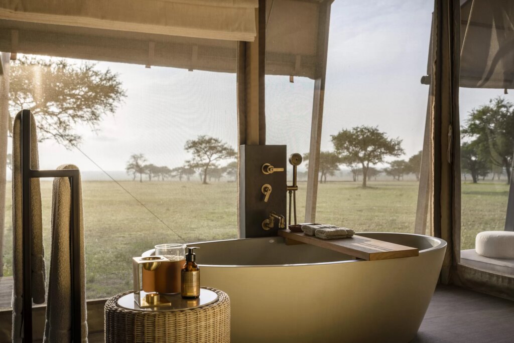 Luxury African Safari