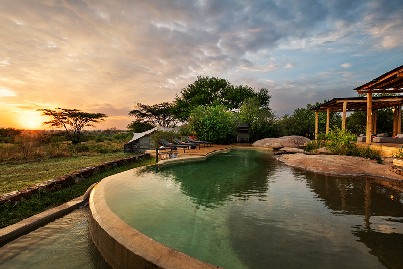 The Best Serengeti National Park Luxury Lodges EASTCO Safaris