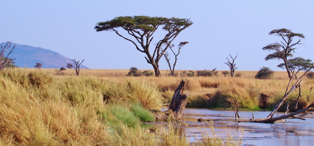 Is Serengeti In Kenya? EASTCO Safaris