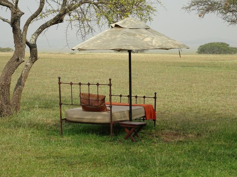 sabora, safari, tanzania-2259691.jpg