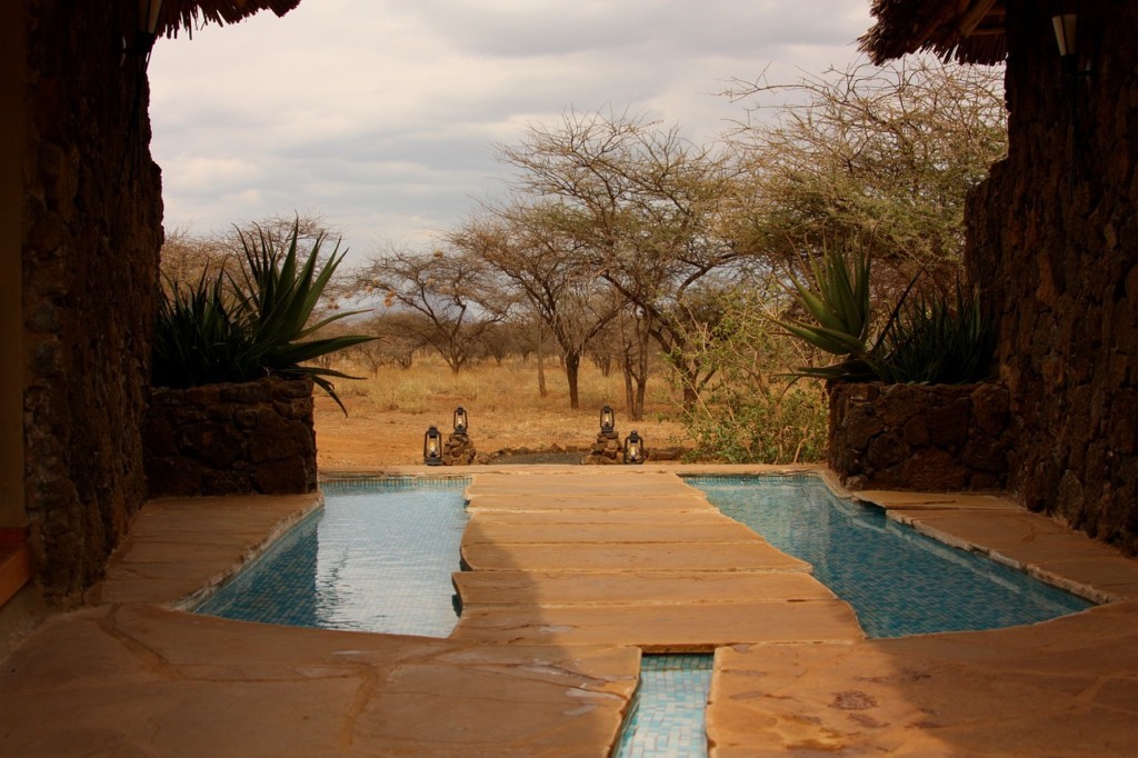 The Best Tanzania Luxury & Private Safaris, Tours & Attractions EASTCO Safaris