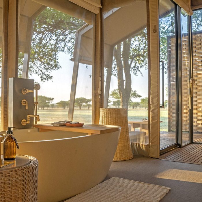 Luxury African Safari Packages that Perfectly blend adventure and comfort EASTCO Safaris