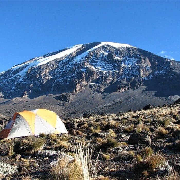 Climb Kilimanjaro