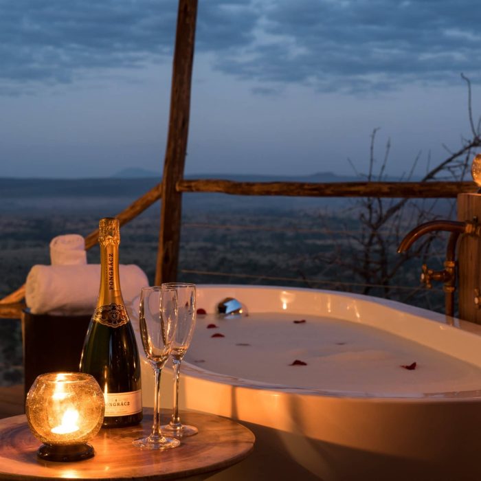 Luxury African Safari Private & Personal Experience EASTCO Safaris