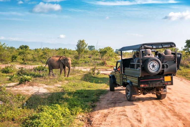 What to Wear on Safari in Tanzania