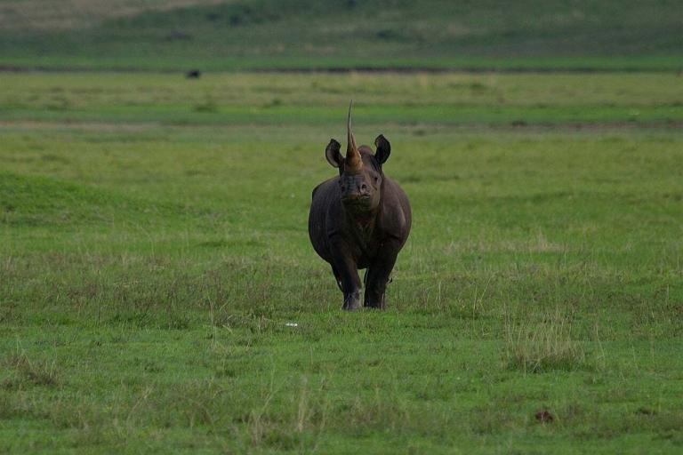 Visit Olduvai Gorge On Your Tanzanian Safari