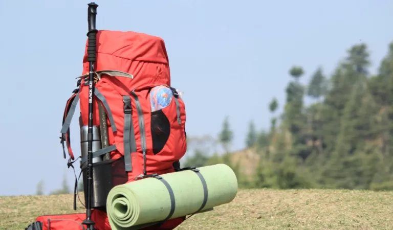 What to Pack for Safari in Tanzania
