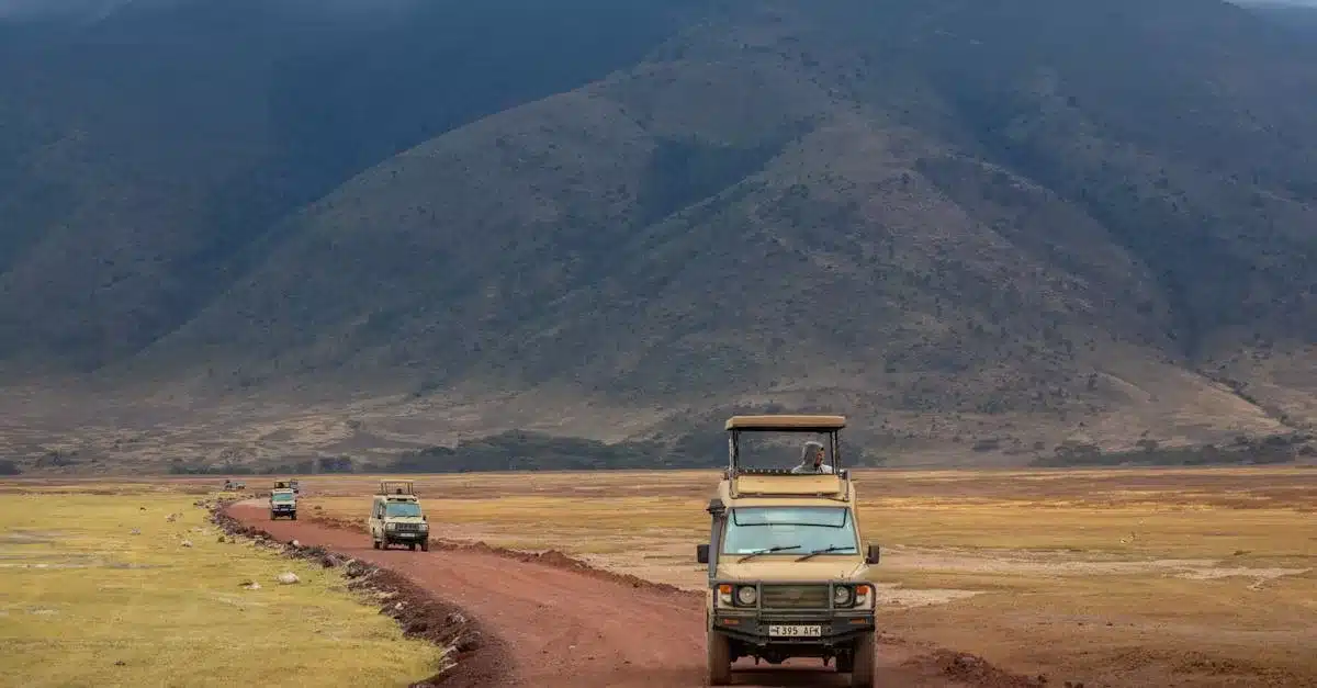 Tanzania safari landscape