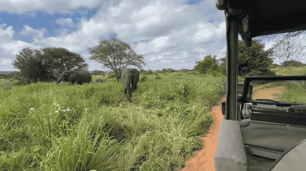 Top-Rated Tanzania Safari Packages