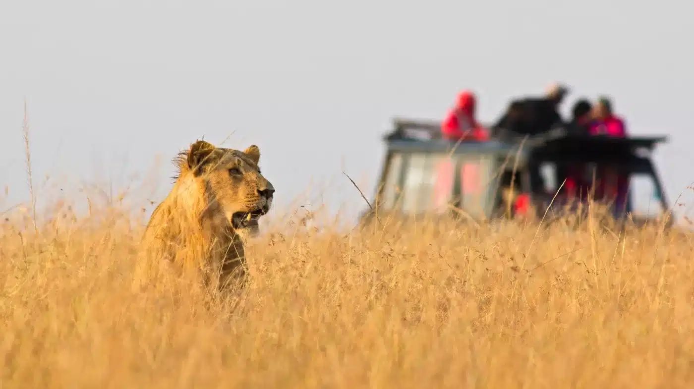Tanzania Safari with Kids