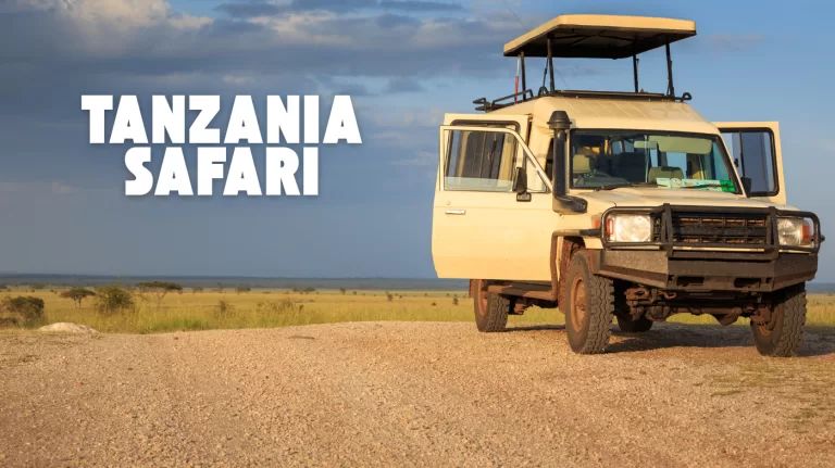 Choose Tanzania for Your Honeymoon Safari