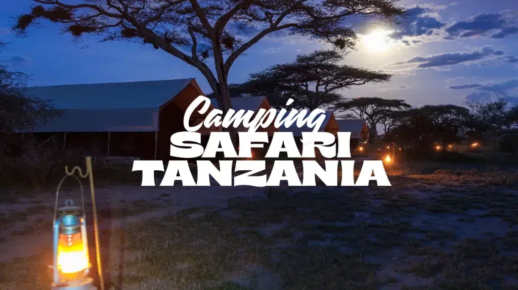 mobile safari camp