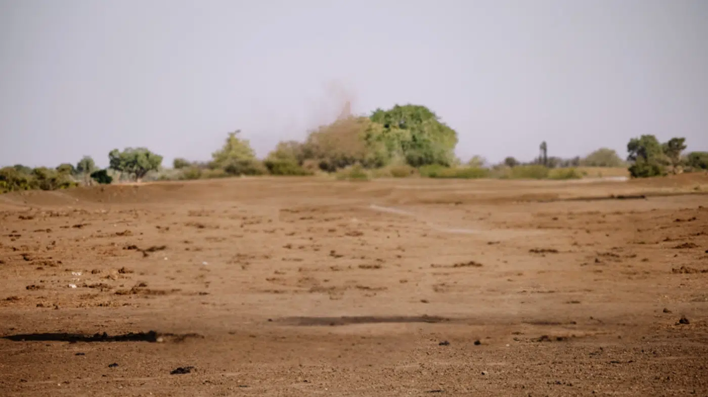Dry Season Safari Advantages