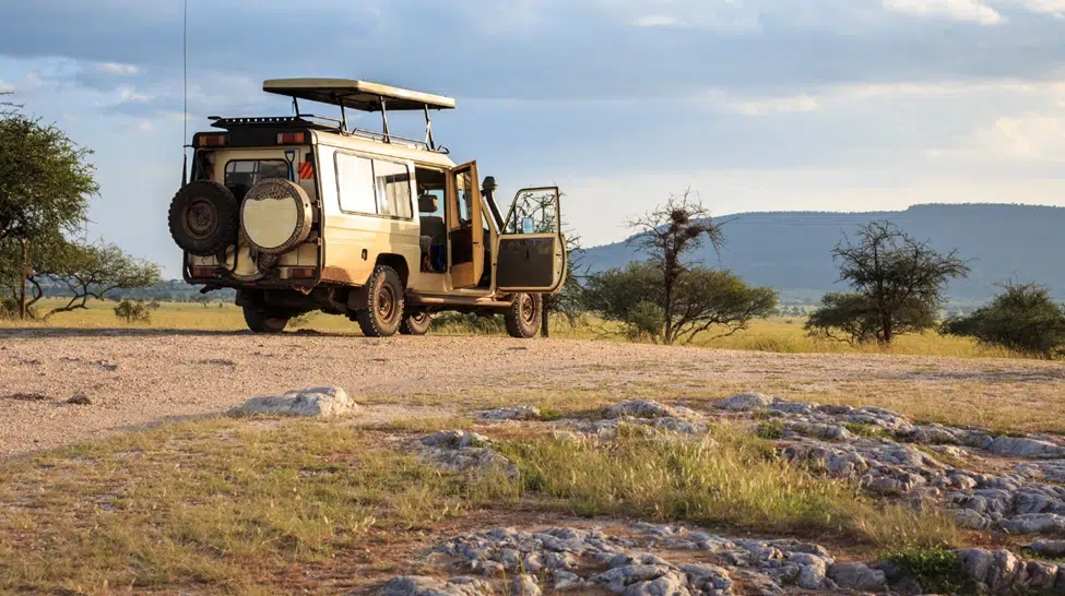 Honeymoon safari planning purposes