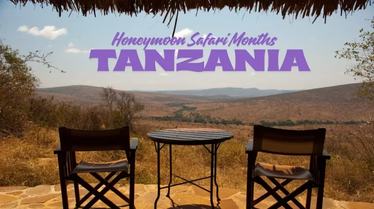 Overall Months for Honeymoon Safaris