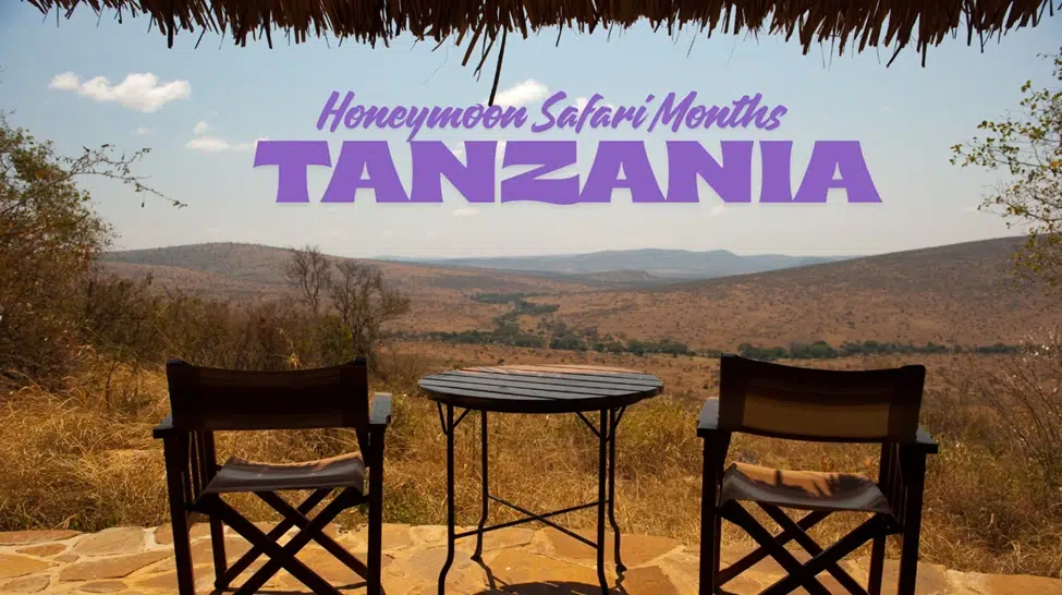 Overall Months for Honeymoon Safaris