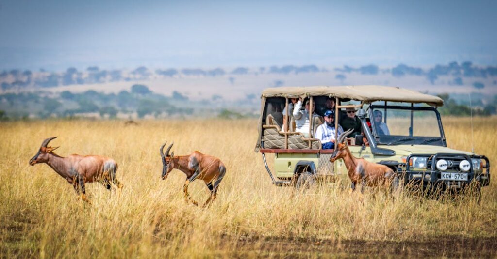 Tourists on an African safari observe antelopes in a scenic grassland setting.