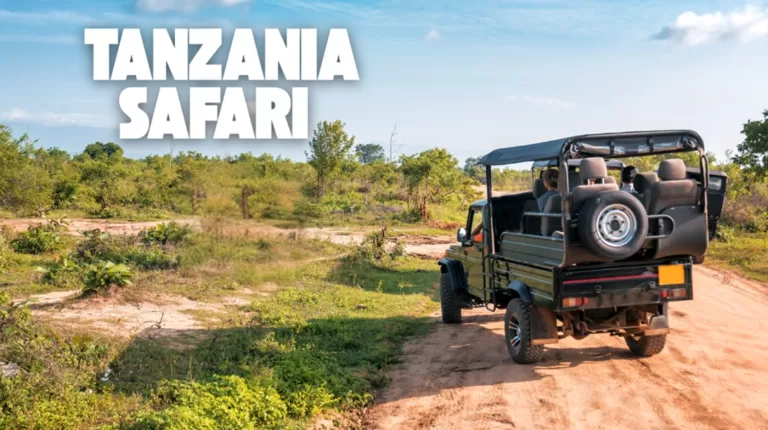 Luxury safari lodge romantic sunset Tanzania