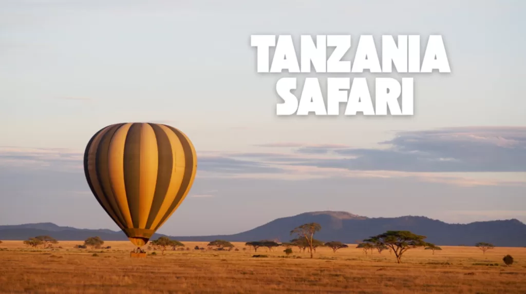 Tanzania safari honeymoon
