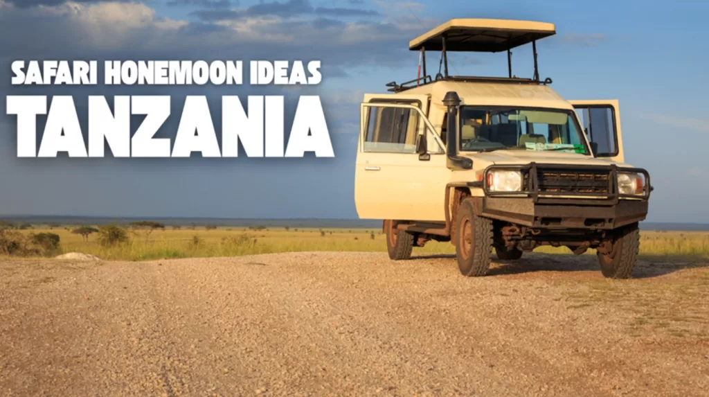 Tanzania safari honeymoon couples wildlife