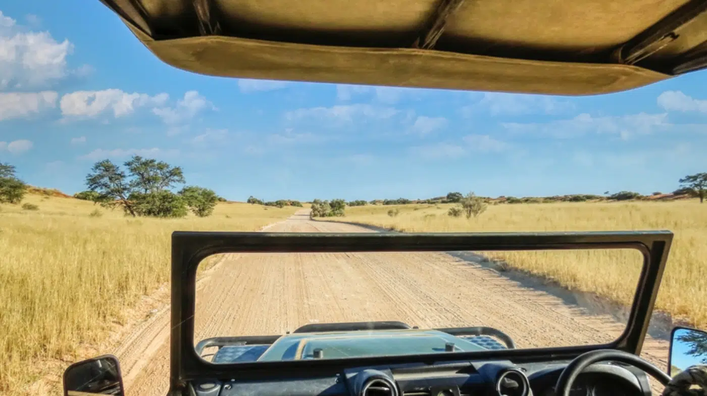 Tanzania wildlife viewing