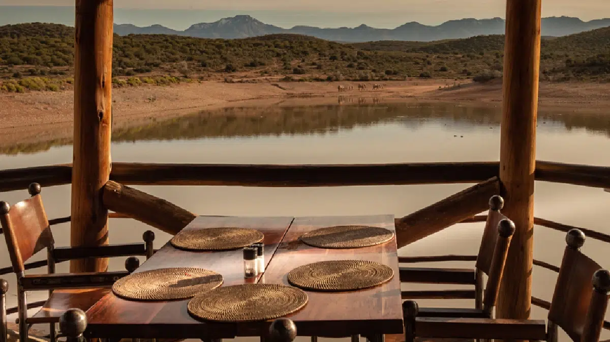glamping safari experience