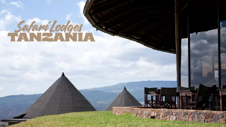 luxury safari lodges