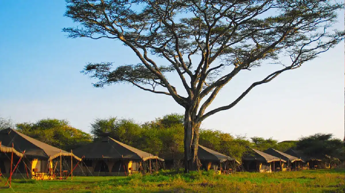 luxury safari tents