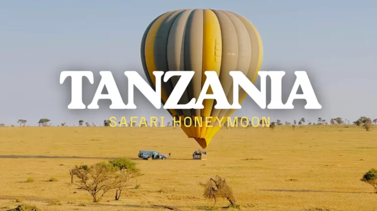 Tanzania safari couple wildlife viewing