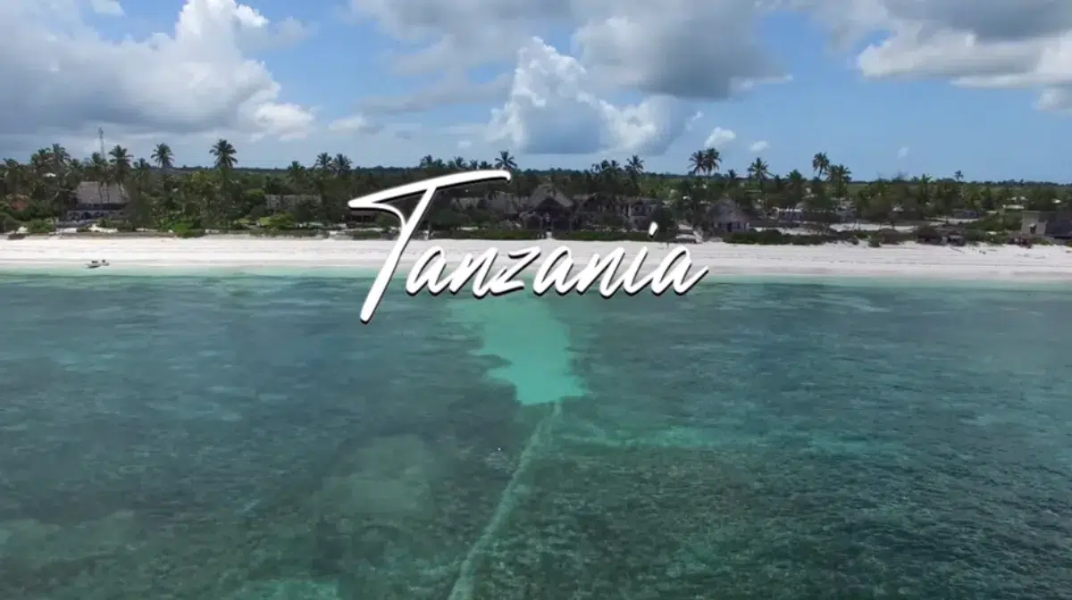 Tanzania wildlife tour planning